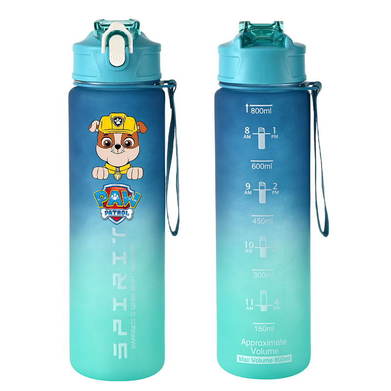 800ml PAW Patrol Sports Water  - огляд і ціна Kids Outdoor Kitchen
