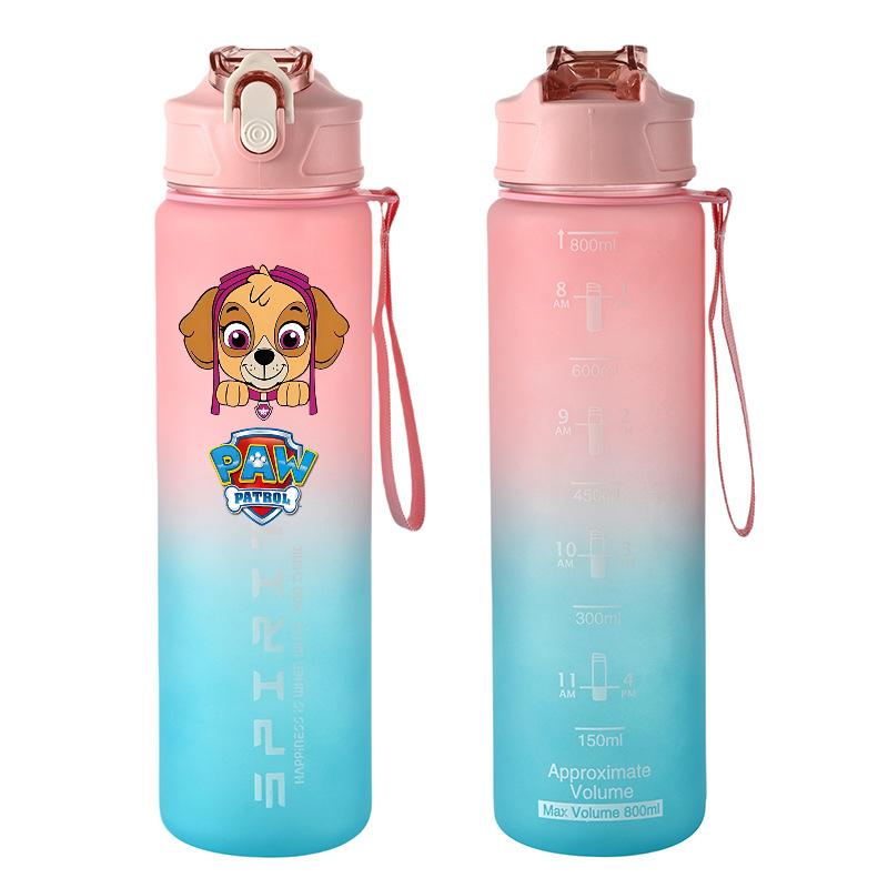 800ml PAW Patrol Sports Water  - огляд і ціна Kids Outdoor Kitchen