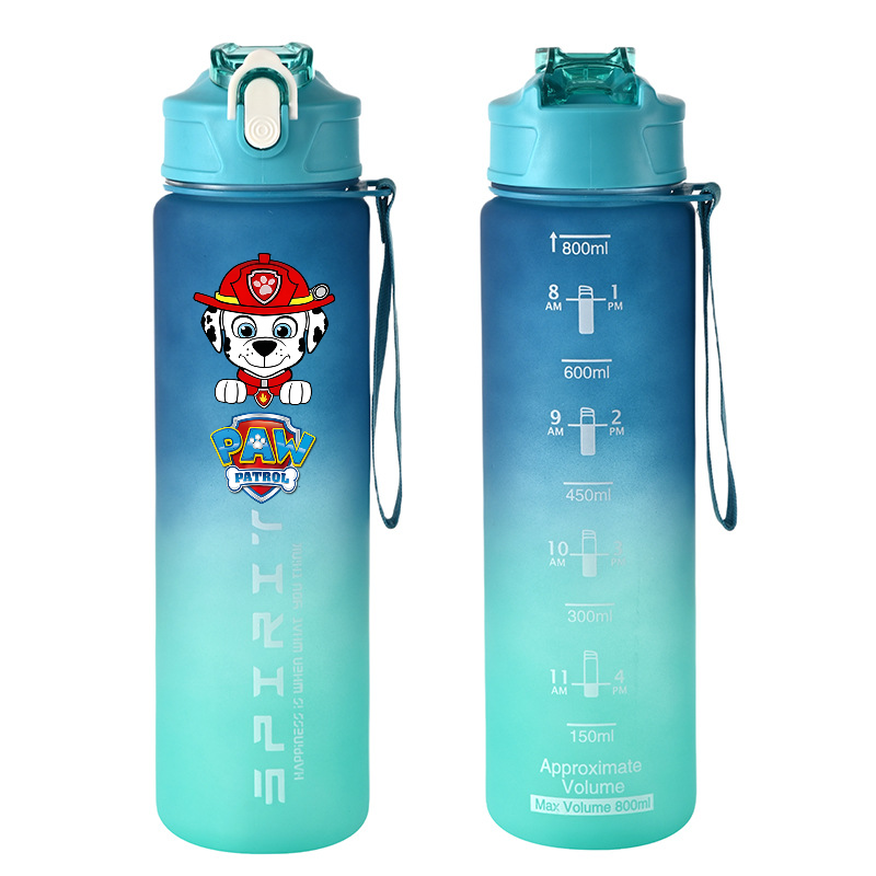 800ml PAW Patrol Sports Water  - огляд і ціна Kids Outdoor Kitchen